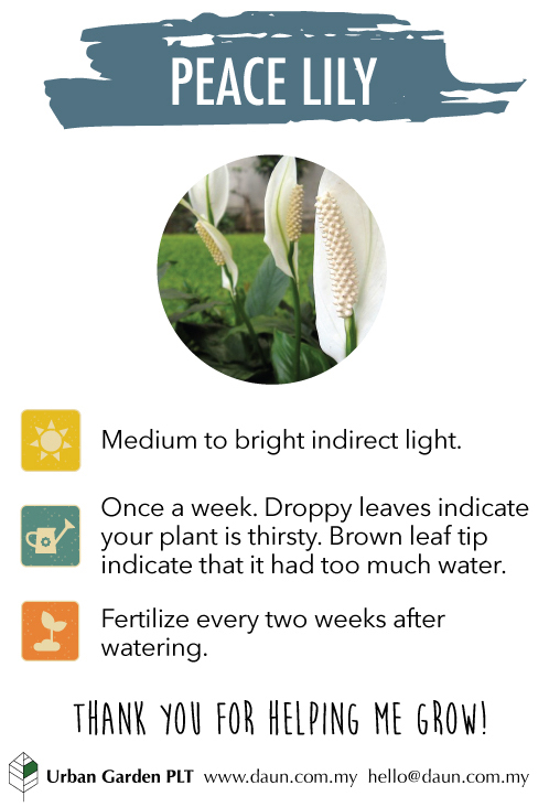 Care instructions www daun my