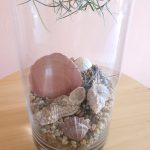 Marine Zen Jar (Shells)